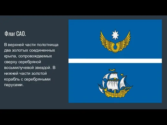 Флаг САО. В верхней части полотнища два золотых соединенных крыла, сопровождаемых сверху