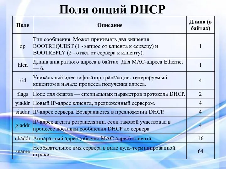 Поля опций DHCP