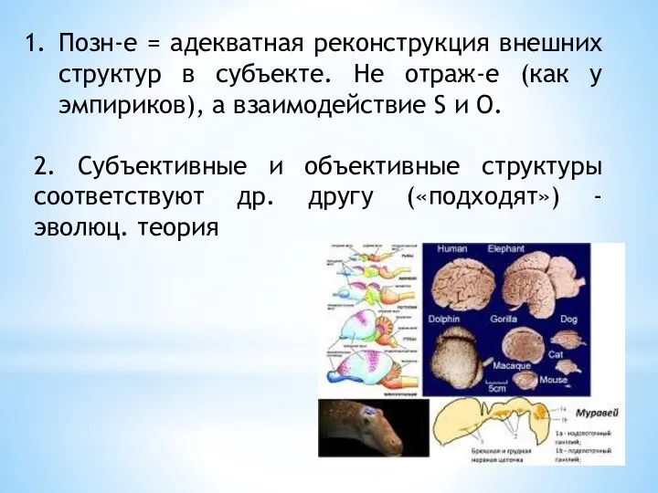 Позн-е = адекватная реконструкция внешних структур в субъекте. Не отраж-е (как у