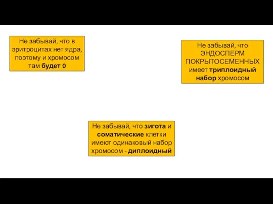 Не забывай, что ЭНДОСПЕРМ ПОКРЫТОСЕМЕННЫХ имеет триплоидный набор хромосом Не забывай, что