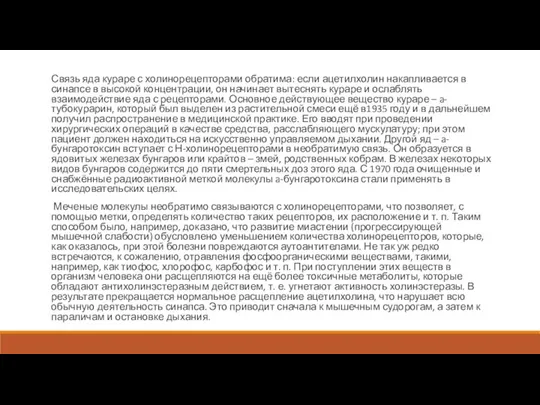 Связь яда кураре с холинорецепторами обратима: если ацетилхолин накапливается в синапсе в