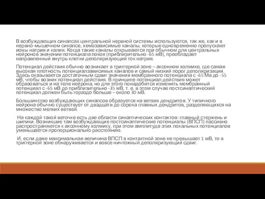 В возбуждающих синапсах центральной нервной системы используются, так же, как и в