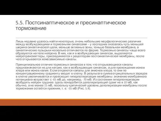 5.5. Постсинаптическое и пресинаптическое торможение Лишь недавно удалось найти некоторые, очень небольшие