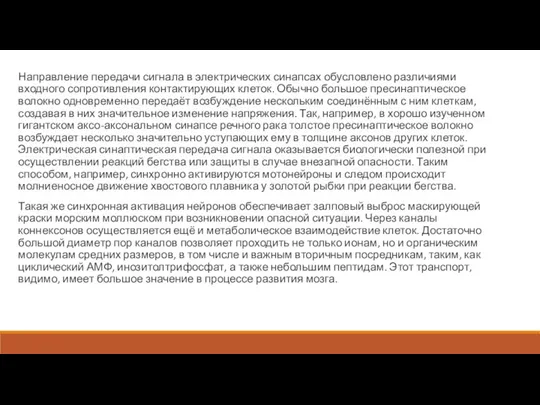 Направление передачи сигнала в электрических синапсах обусловлено различиями входного сопротивления контактирующих клеток.