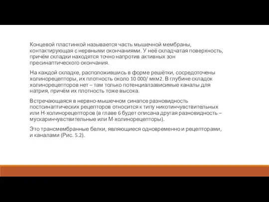 Концевой пластинкой называется часть мышечной мембраны, контактирующая с нервными окончаниями. У неё