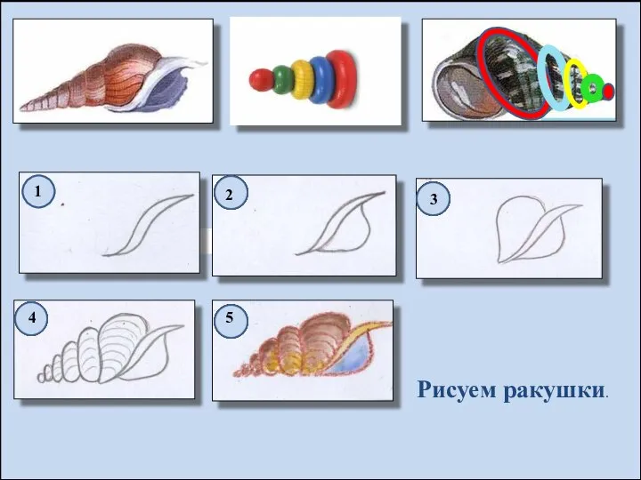 1 2 3 4 5 Рисуем ракушки.