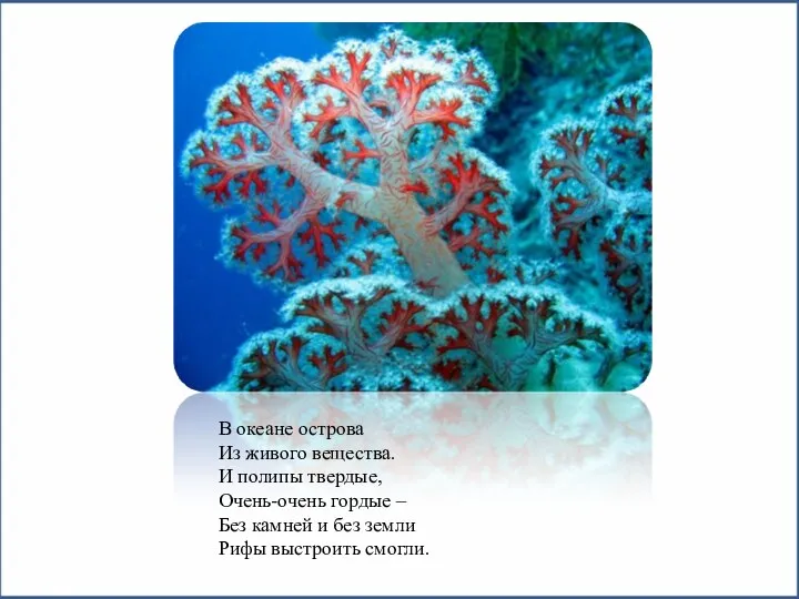 В океане острова Из живого вещества. И полипы твердые, Очень-очень гордые –