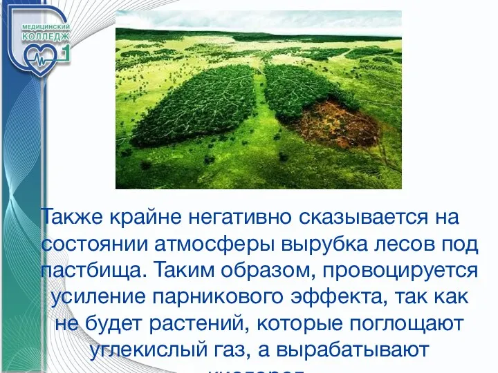 Также крайне негативно сказывается на состоянии атмосферы вырубка лесов под пастбища. Таким