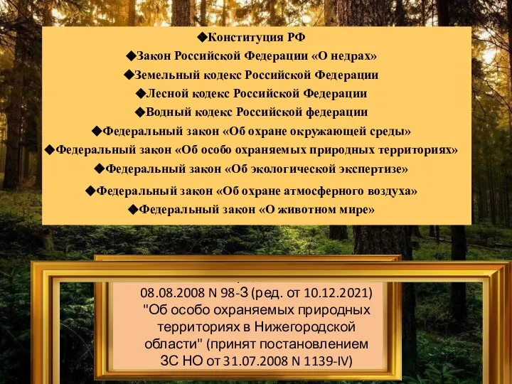 Закон Нижегородской области от 08.08.2008 N 98-З (ред. от 10.12.2021) "Об особо