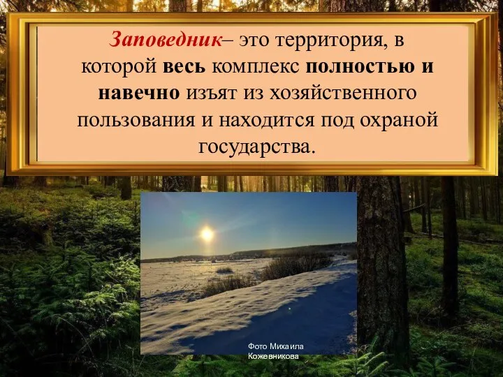 Заповедник– это территория, в которой весь комплекс полностью и навечно изъят из