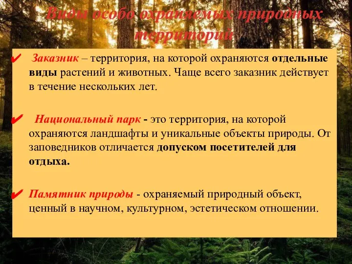 Заказник – территория, на которой охраняются отдельные виды растений и животных. Чаще