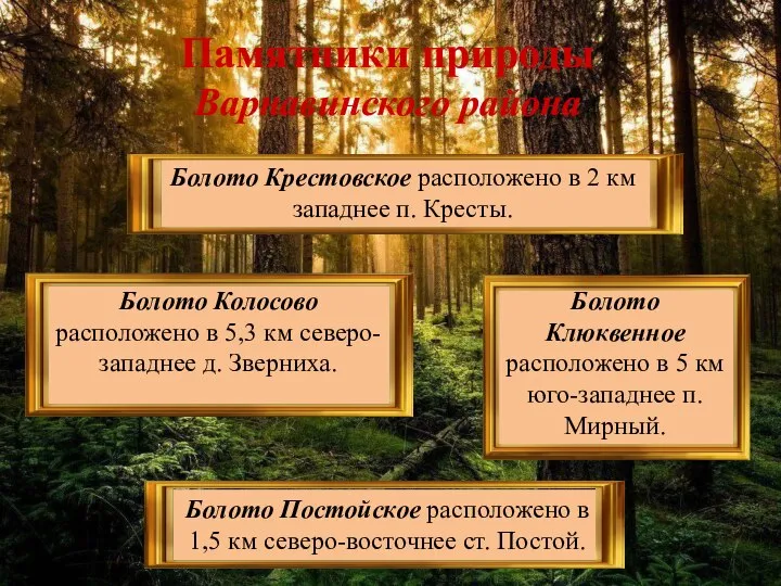 Памятники природы Варнавинского района Болото Крестовское расположено в 2 км западнее п.