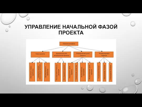 УПРАВЛЕНИЕ НАЧАЛЬНОЙ ФАЗОЙ ПРОЕКТА