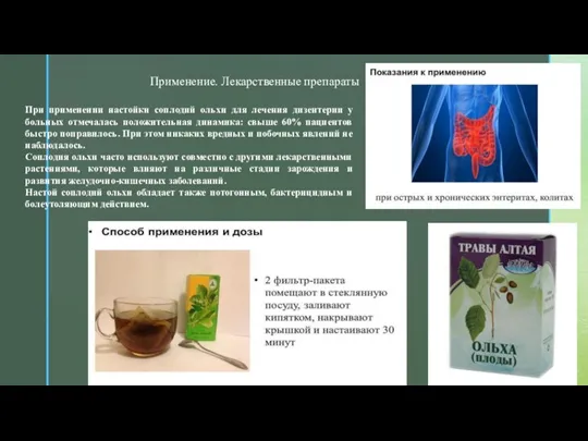 Применение. Лекарственные препараты При применении настойки соплодий ольхи для лечения дизентерии у