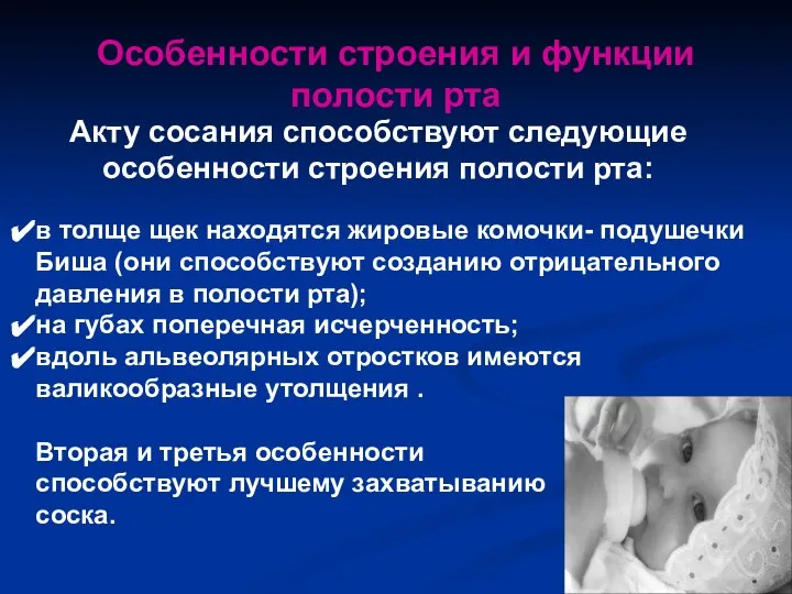 Акту сосания способствуют следующие особенности строения полости рта: в толще щек находятся