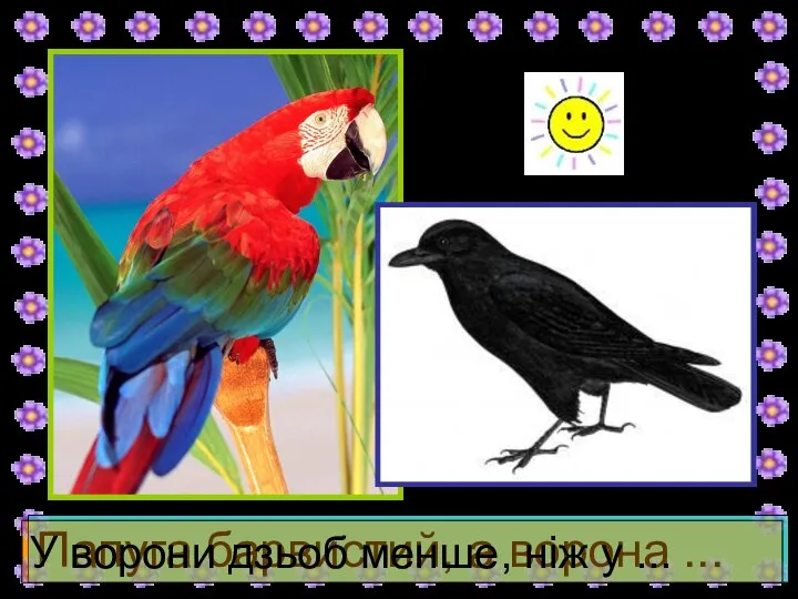 Папуга барвистий, а ворона ... У ворони дзьоб менше, ніж у ...