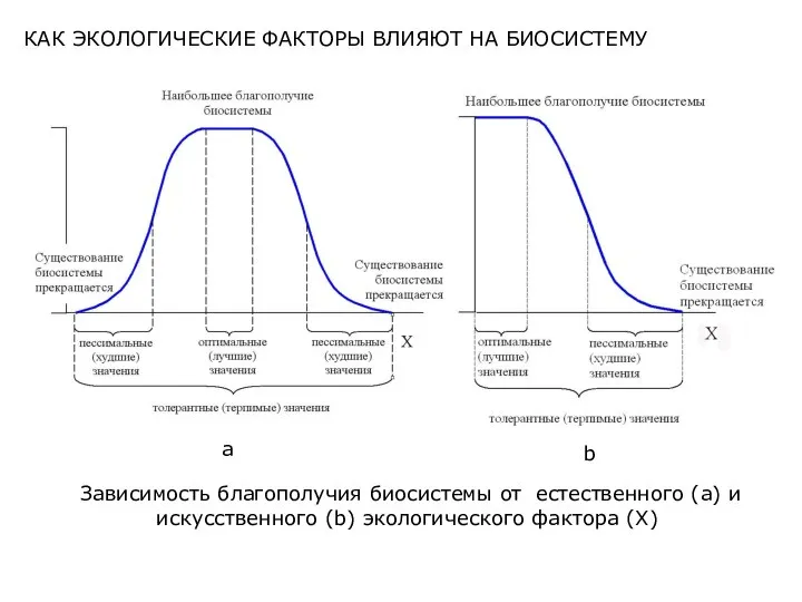 Зависимость благополучия биосистемы от естественного (a) и искусственного (b) экологического фактора (X)