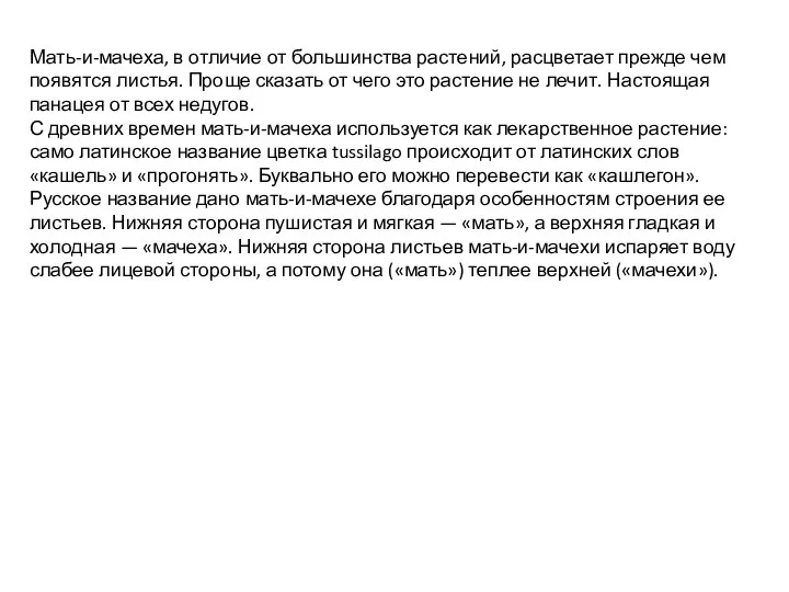 Мать-и-мачеха, в отличие от большинства растений, расцветает прежде чем появятся листья. Проще