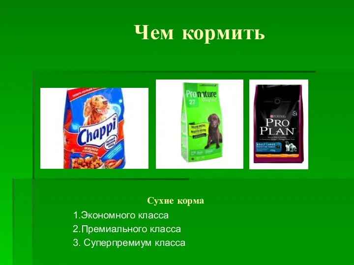 Сухие корма 1.Экономного класса 2.Премиального класса 3. Суперпремиум класса Чем кормить