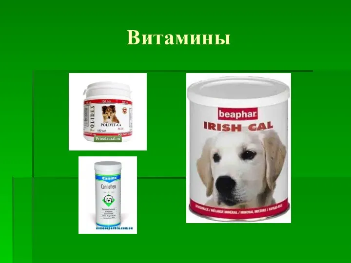 Витамины