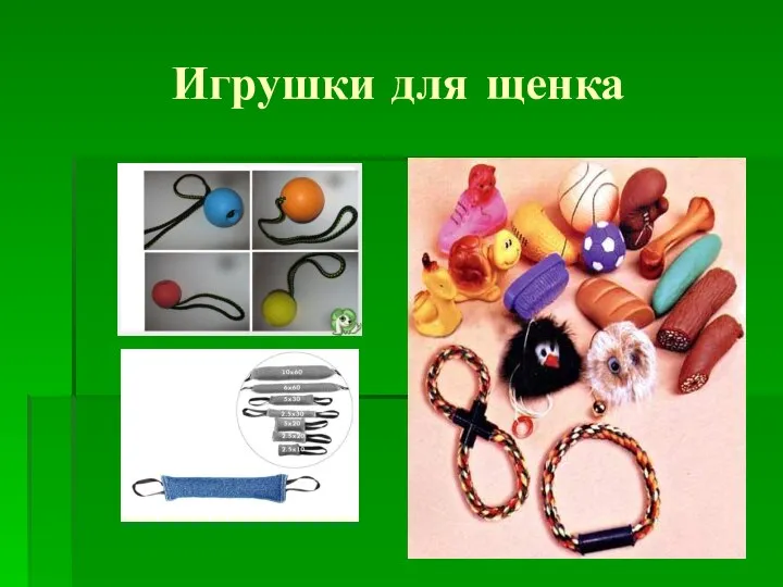 Игрушки для щенка