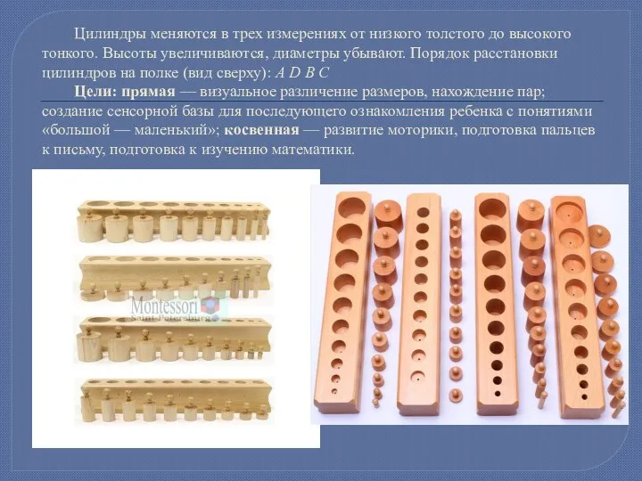 Цилиндры меняются в трех измерениях от низкого толстого до высокого тонкого. Высоты