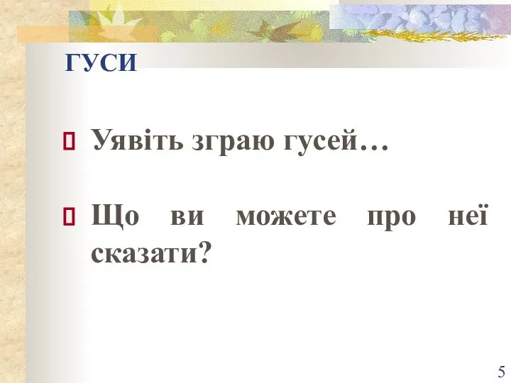 ГУСИ Уявіть зграю гусей… Що ви можете про неї сказати?