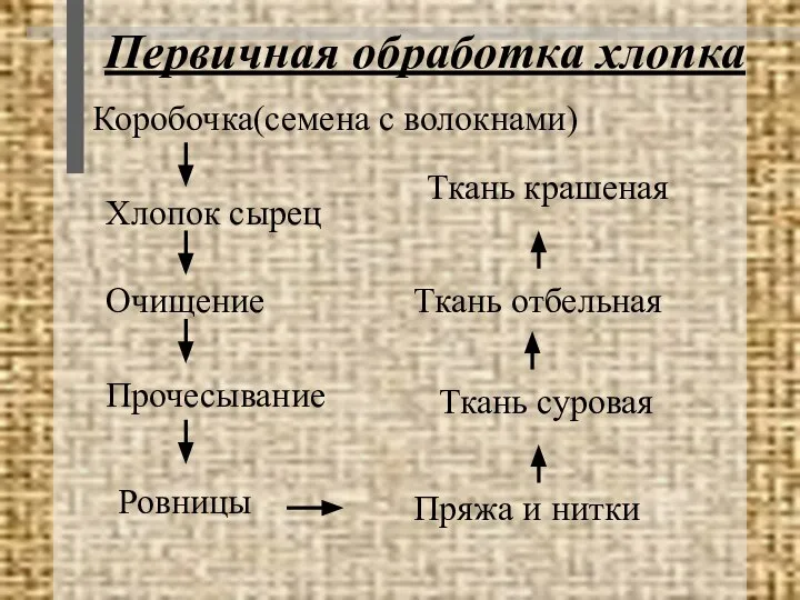 Первичная обработка хлопка Коробочка(семена с волокнами) Хлопок сырец Очищение Прочесывание Ровницы Пряжа