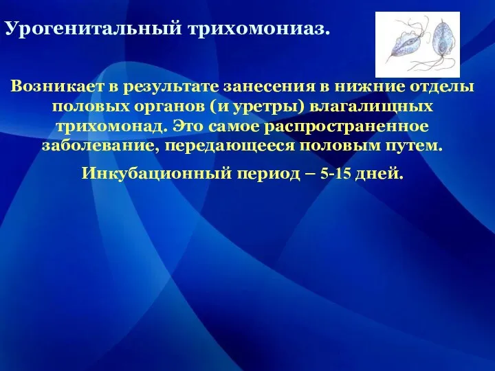 Урогенитальный трихомониаз. Возникает в результате занесения в нижние отделы половых органов (и