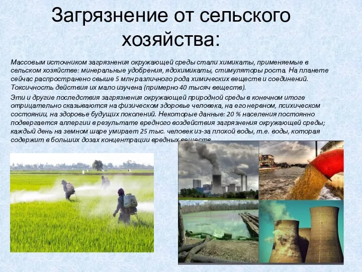 Загрязнение от сельского хозяйства: Массовым источником загрязнения окружающей среды стали химикаты, применяемые