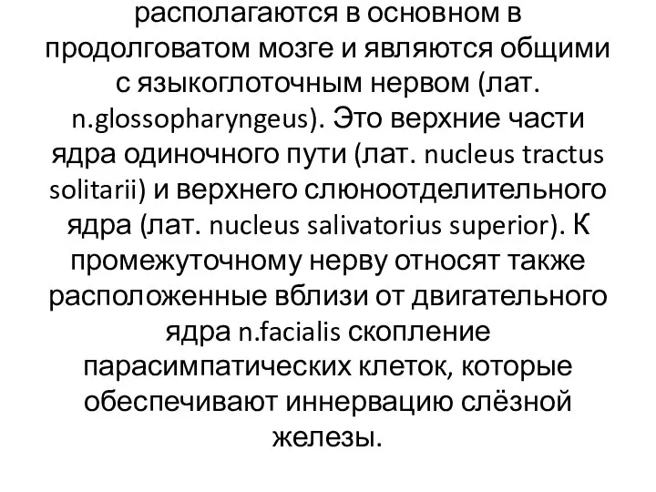 Ядра промежуточного нерва располагаются в основном в продолговатом мозге и являются общими