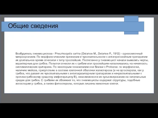 Возбудитель пневмоцистоза - Pneumocystis carina (Delanoe M., Delanoe P., 1912) - одноклеточный