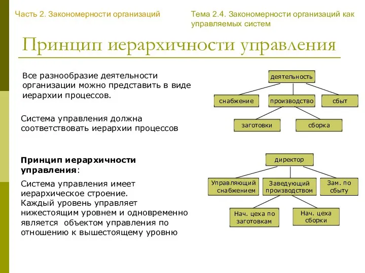 Принцип иерархичности управления Все разнообразие деятельности организации можно представить в виде иерархии