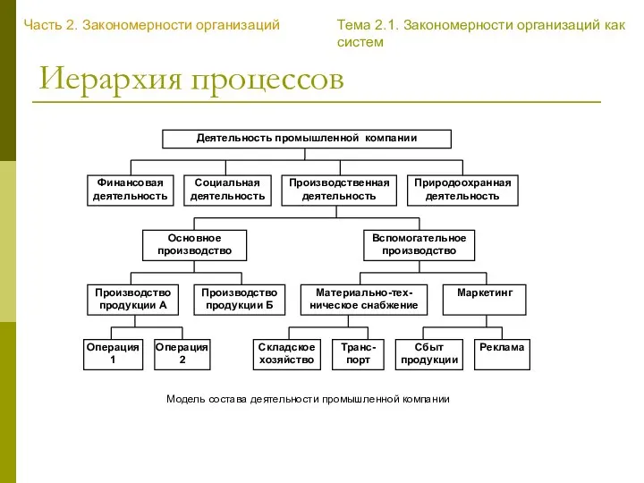 Иерархия процессов Часть 2. Закономерности организаций Тема 2.1. Закономерности организаций как систем