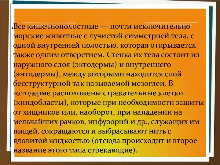 Все кишечнополостные — почти исключительно морские животные с лучистой симметрией тела, с