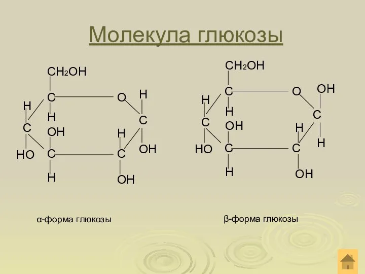 Молекула глюкозы α-форма глюкозы СН2ОН Н Н Н Н ОН НО Н ОН ОН β-форма глюкозы