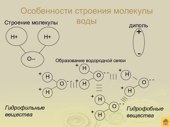 Особенности строения молекулы воды Гидрофильные вещества Гидрофобныевещества