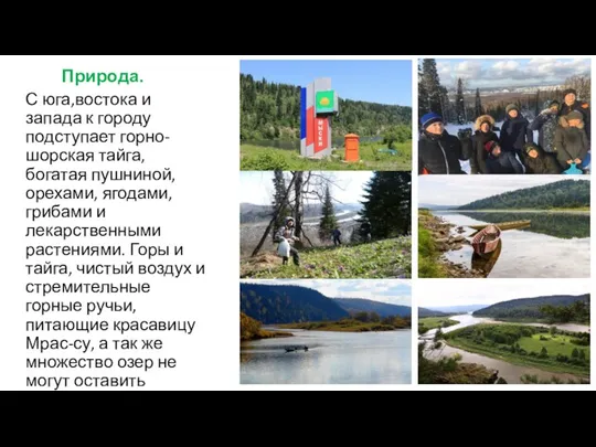 Природа. С юга,востока и запада к городу подступает горно-шорская тайга, богатая пушниной,