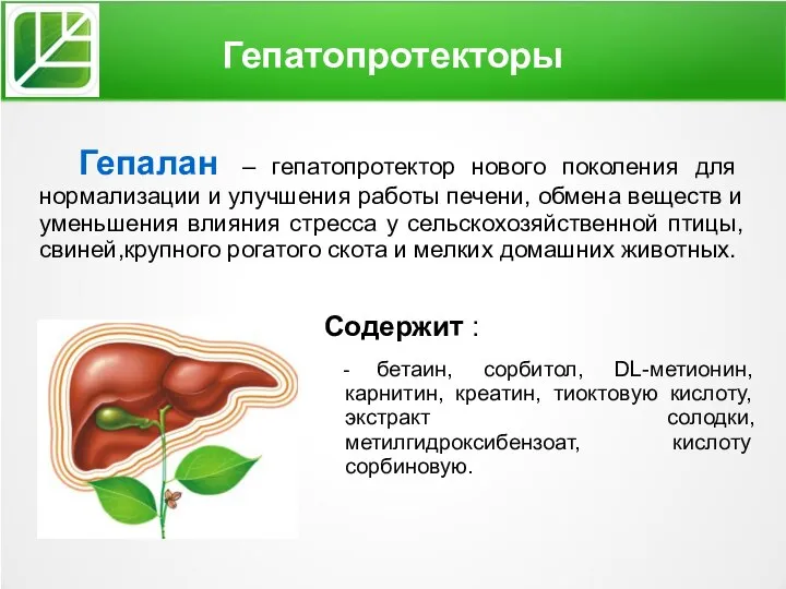 Гепатопротекторы Гепалан – гепатопротектор нового поколения для нормализации и улучшения работы печени,