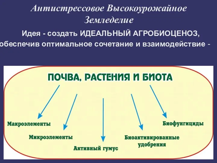 Антистрессовое Высокоурожайное Земледелие Идея - создать ИДЕАЛЬНЫЙ АГРОБИОЦЕНОЗ, обеспечив оптимальное сочетание и взаимодействие -