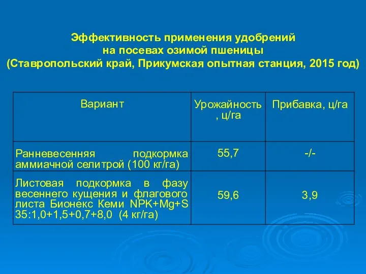 Эффективность применения удобрений на посевах озимой пшеницы (Ставропольский край, Прикумская опытная станция, 2015 год)