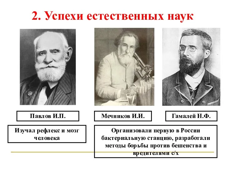 2. Успехи естественных наук Павлов И.П. Изучал рефлекс и мозг человека Мечников