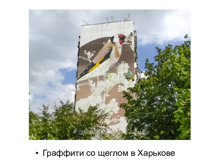 Граффити со щеглом в Харькове