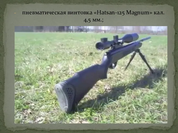 пневматическая винтовка «Hatsan-125 Magnum» кал. 4,5 мм.;