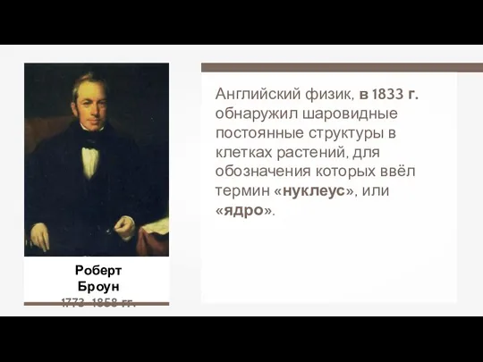 Роберт Броун 1773–1858 гг. Английский физик, в 1833 г. обнаружил шаровидные постоянные
