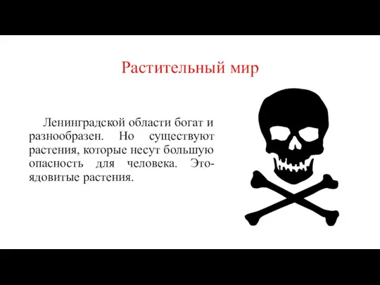 Растительный мир Ленинградской области богат и разнообразен. Но существуют растения, которые несут