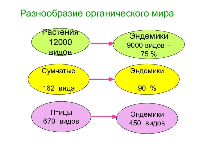 Разнообразие органического мира Эндемики 450 видов Растения 12000 видов Эндемики 9000 видов