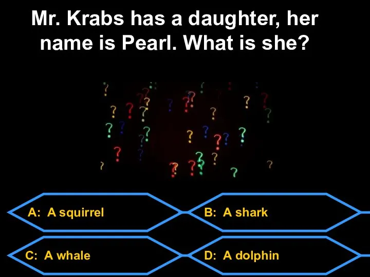 A: A squirrel C: A whale D: A dolphin B: A shark