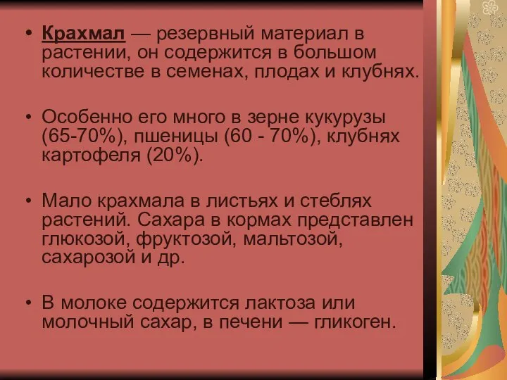 Крахмал — резервный материал в растении, он содержится в большом количестве в