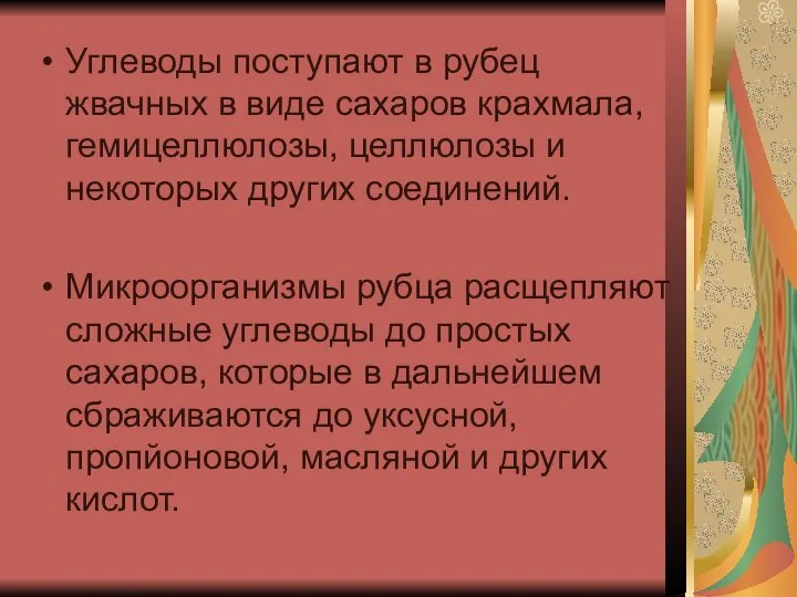 Углеводы поступают в рубец жвачных в виде сахаров крахмала, гемицеллюлозы, целлюлозы и